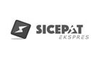 revo-apps-perhitungan-ongkir-otomatis-sicepat
